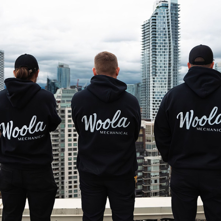 Woola technicians overlooking city